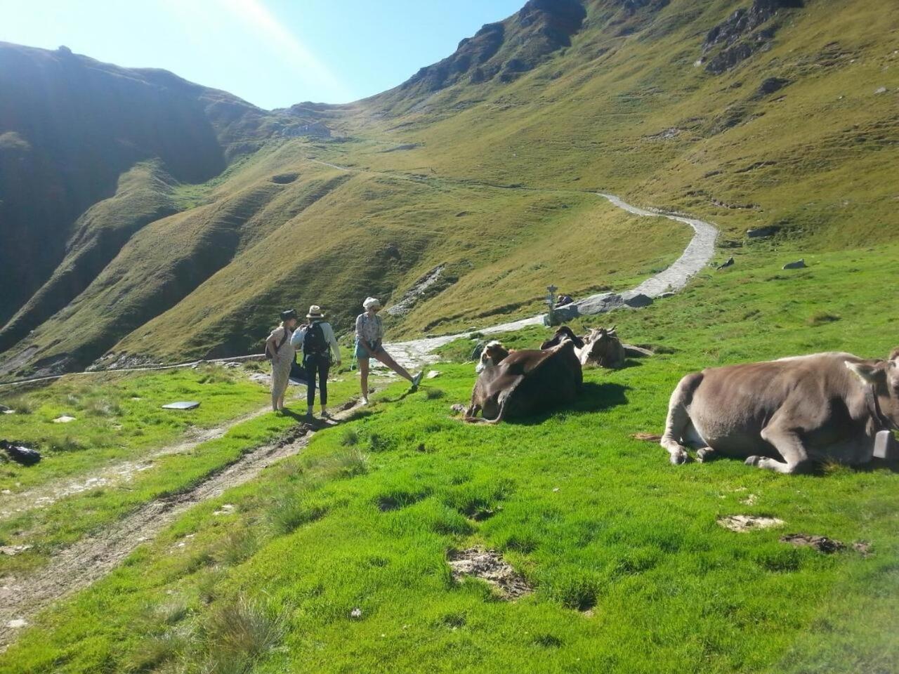 Agriturismo La Sorgente Apart otel Gravedona Dış mekan fotoğraf